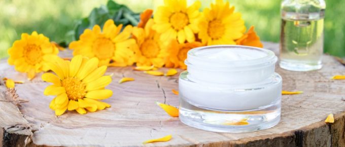 Is Calendula Safe During Pregnancy